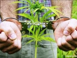 Уважаемые жители Ипатовского муниципального округа!.